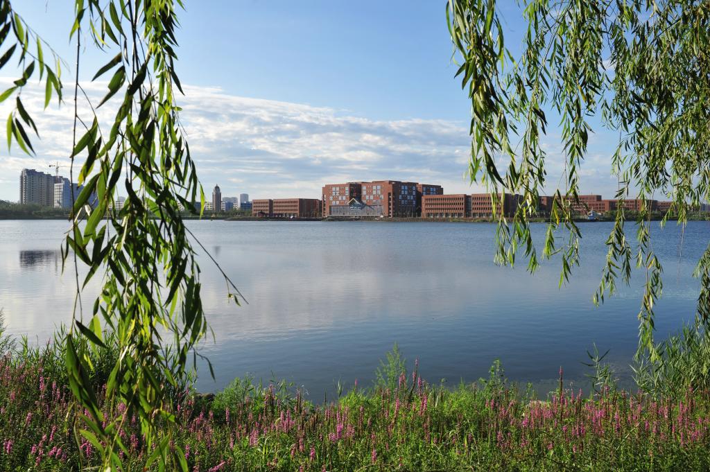 报海优，选米兰！